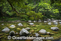 Mossman Gorge Photo - Gary Bell