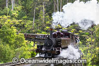 Puffing Billy Steam Train Photo - Gary Bell