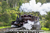 Puffing Billy Belgrave Photo - Gary Bell