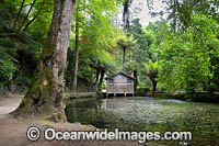 Gardens Sherbrooke Photo - Gary Bell