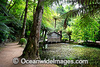 Gardens Sherbrooke Photo - Gary Bell