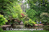 Gardens Sherbrooke Photo - Gary Bell
